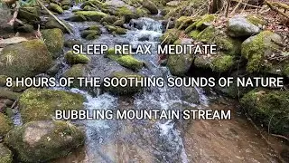 ASMR - Smoky Mountain Babbling Brook (8 hours) Relax Instantly / Sleep Soundly / Relieve Stress
