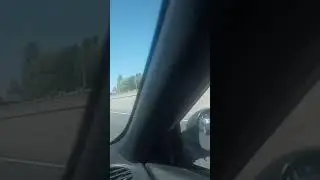 24 мая 2024 г.
