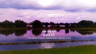MOMENT IN NATURE  - Nature Relaxation Film