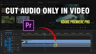 How To Cut Audio Only In Video - Adobe Premiere Pro