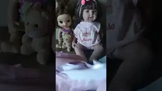 Apresento a você minha Bebê reborn Princesa