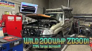 WILD 200+HP ZD30 Di // RMR injector install and tune