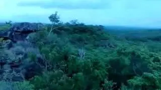 recorriendo-- selva de Costa Rica