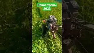 ПОКОС ТРАВЫ 2023 