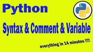 Variable, comment, Syntax in Python