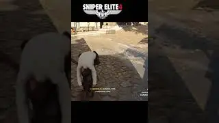 Это вообще как называется?! 