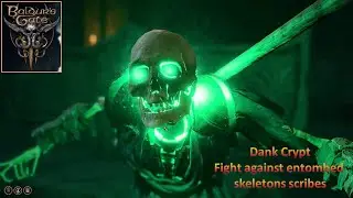 [*/\*] Baldur's Gate 3 - Dank Crypt - Fight against entombed skeletons scribes (Full release)