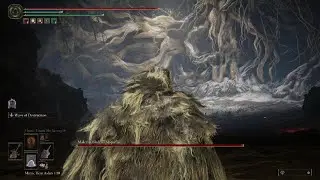 Elden Ring - Malenia, Blade of Miquella Boss Fight (PS5)
