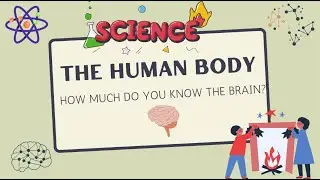 How much do you know about the human brain
