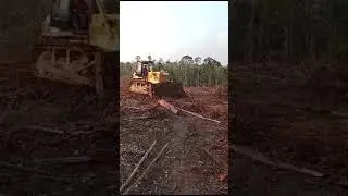 Land Clearing