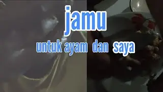 jamu untuk ayam dan saya