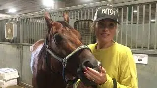 Champion Talks with Lindsey James: 2020 NRCHA Snaffle Bit Futurity Amateur