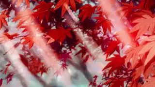 Ennio Morriconne - Intervallo II {slowed + reverb}