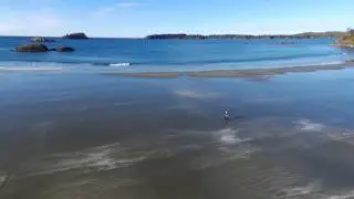 McKenzie Beach Aerial