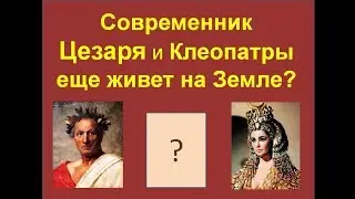 Растение, которое пережило фараонов - продолжительность жизни растений