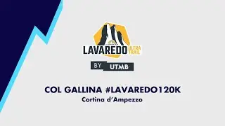 COL GALLINA