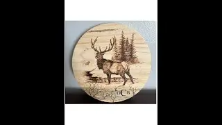 Elk Wood Burning