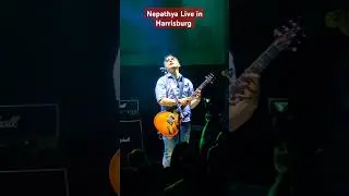 Nepathya | Niraj Gurung |  Guitar Solo Performance #shorts  #nepathya