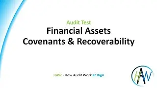 6.51 Audit test - Financial Assets - Covenants & Recoverability PREVIEW