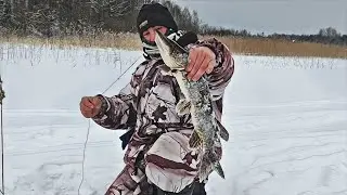 Pike Fishing - Winter! Fishing in the dead of winter, using traps!