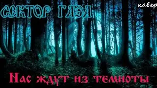 Нас ждут из темноты -Сектор газа кавер