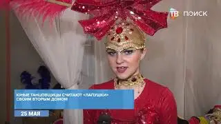 Праздничная шоу-программа от 