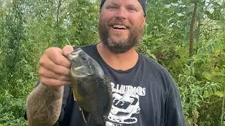 Fishing with a cane pole (biggest green sunfish I’ve ever seen)