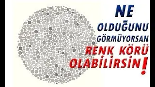 RENK KÖRÜ OLABİLİRSİN! - Renk Körlüğü Testi