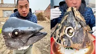 EATING A MONSTER TUNAFISH HEAD MUKBANG SHOW| COOKING TUNA FISH HEAD RECIPE| EATING SHOW|