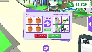 I CANT BELEIVE HE TRADED THIS FOR HONEYS!!!!!!! | Adopt Me | Roblox#6