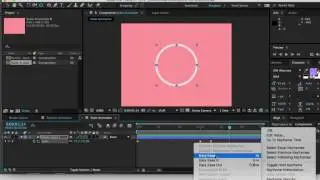 Scale Animation - After Effects