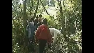 2000svtl 1402