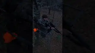 .450 Bushmaster folds a deer  #shorts #450bushmaster #hornadyblack