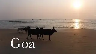 Goa