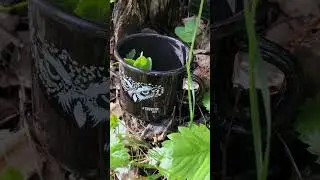 В этой кружке заваривается очень  вкусный чай.