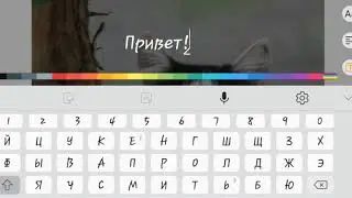 Я забрашиваю WildCraft?!