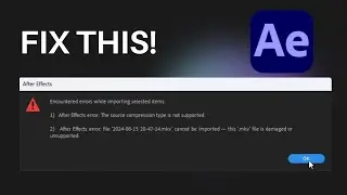 After Effects Error: The source compression type is not supported. How to fix this