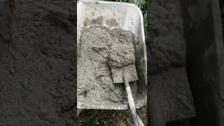 Pro-работа