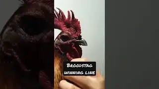 Antonio Burburan line Hatch hennie