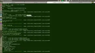 Reclaim KVM disk size