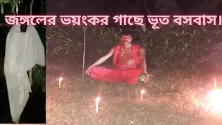 জঙ্গলের ভয়ংকর গাছে ভূত বসবাস ghost hunter live