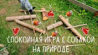 Спокойная игра с собакой на природе