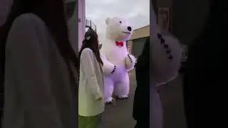 Ursul alb în Paris, Белый мишка в Париже.Félicitations à l'ours polaire à Paris,