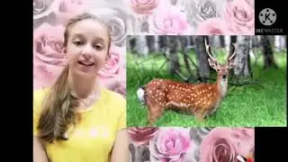 Пушкинский день России. День русского языка
