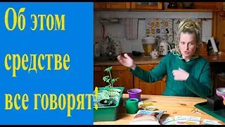 Микориза - секрет успеха для рассады