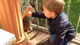 Моя любимая 