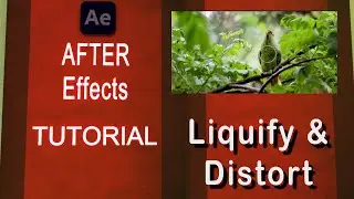 Liquify & Distort AFTER EFFECTS TUTORIAL in हिंदी