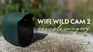 Example Footage | NatureSpy WiFi WildCam 2