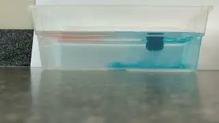 Convection in Water