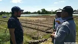 Video Pengabdian Bawang Merah Probolinggo 2022